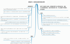 末端终止法测定的核苷酸序列
