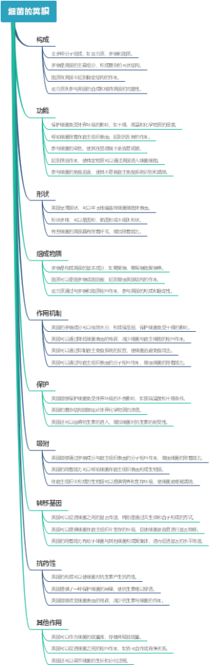 细菌的荚膜