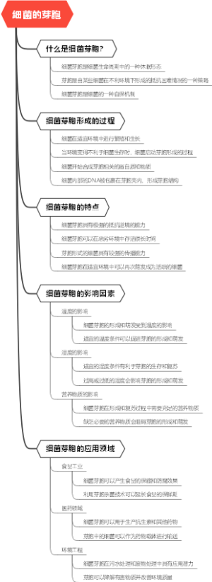细菌的芽胞