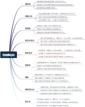 生物膜结构