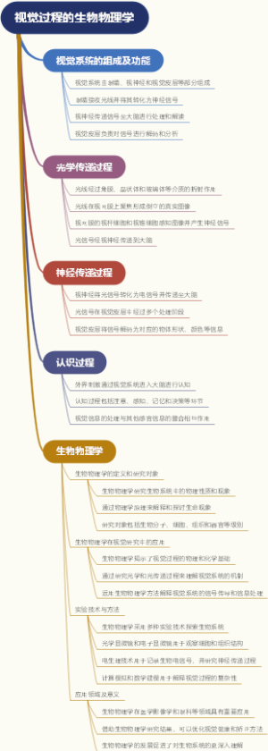 视觉过程的生物物理学