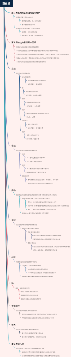蛋白质