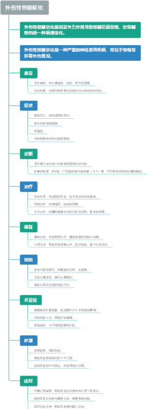 外伤性脊髓软化