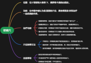背俞穴
