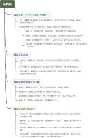 滑膜囊