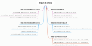 脊髓灰质炎病毒
