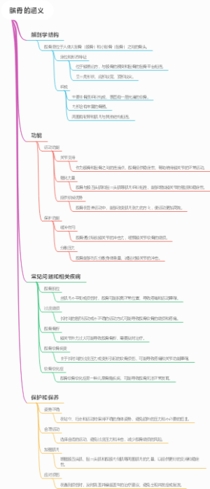 髌骨的涵义