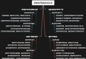 中医院护理副院长职责