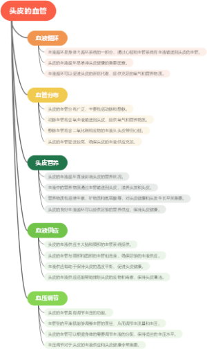 头皮的血管