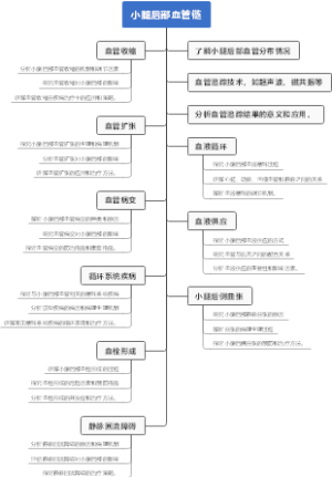 小腿后部血管链