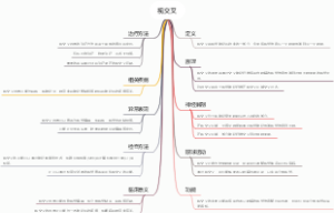 视交叉