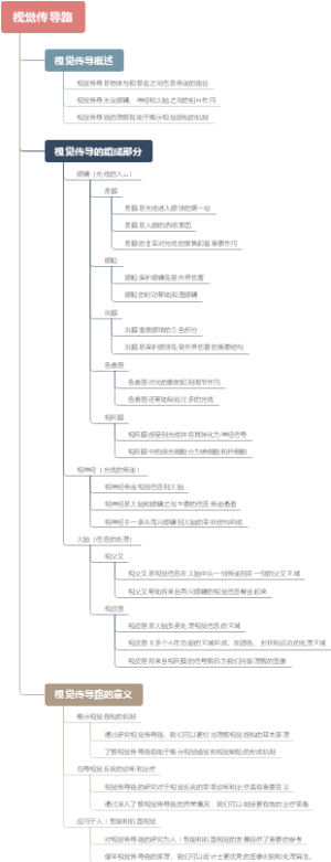 视觉传导路