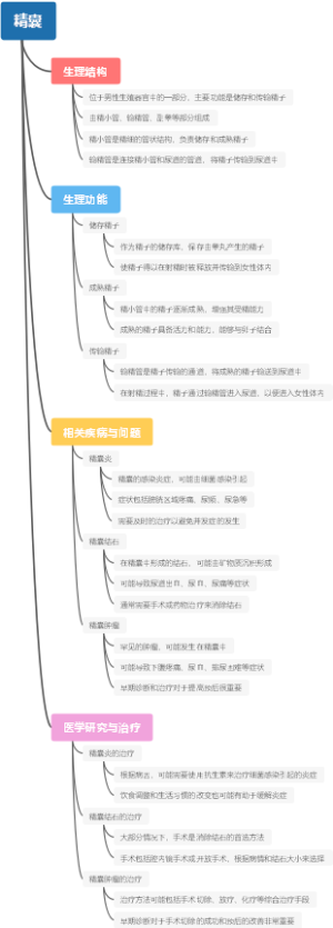 精囊