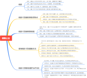 结肠上区