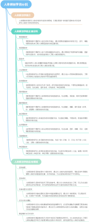 人体解剖学的分科