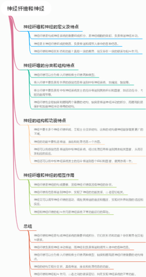 神经纤维和神经