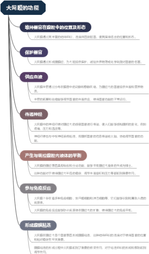 大网膜的功能