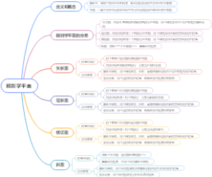 解剖学平面