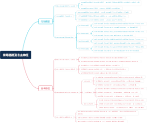 传导通路及自主神经
