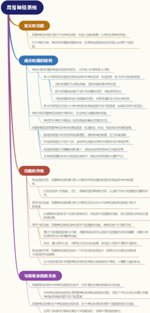 周围神经系统