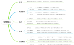 有限责任