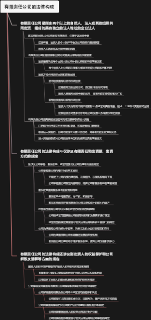 有限责任公司的法律构成
