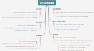 证券公司投资策略