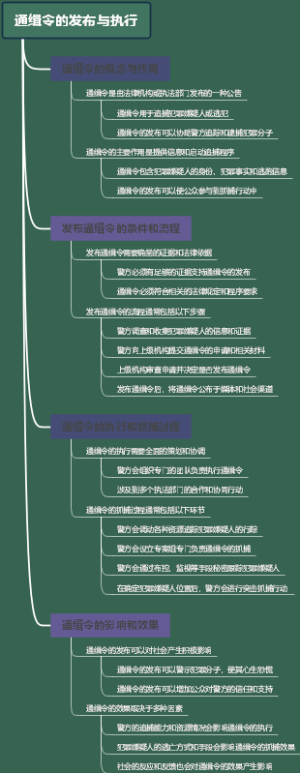 通缉令的发布与执行
