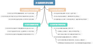 太仓派的传承与发展