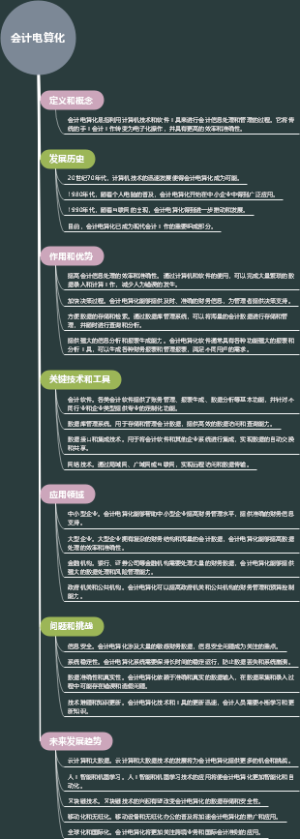 会计电算化