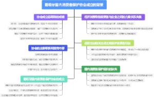 葡萄牙国内消费者保护协会成立的背景
