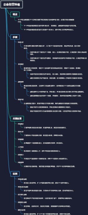 企业经营战略
