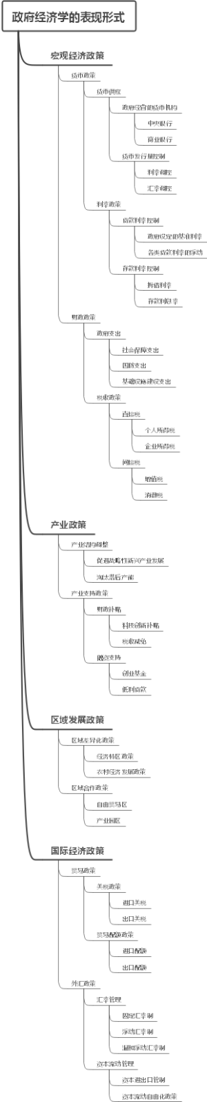 政府经济学的表现形式