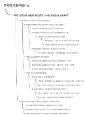 政府经济主体是什么