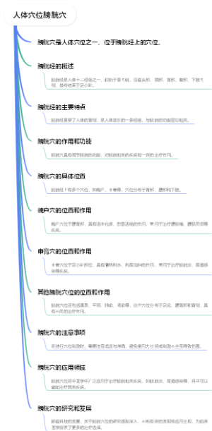 人体穴位膀胱穴