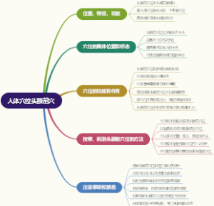 人体穴位头额前穴