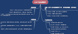 人体穴位右膺窗穴