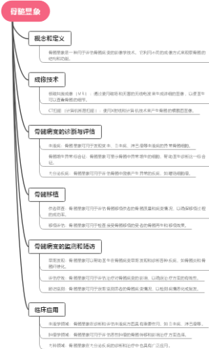 骨髓显象