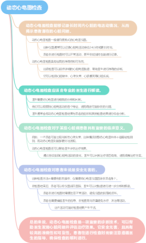 动态心电图检查