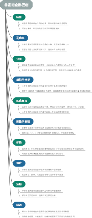非霍奇金淋巴瘤