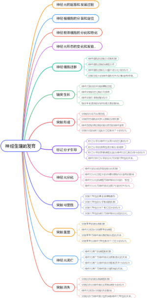 神经生理的发育