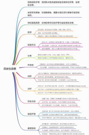 反流性肾病