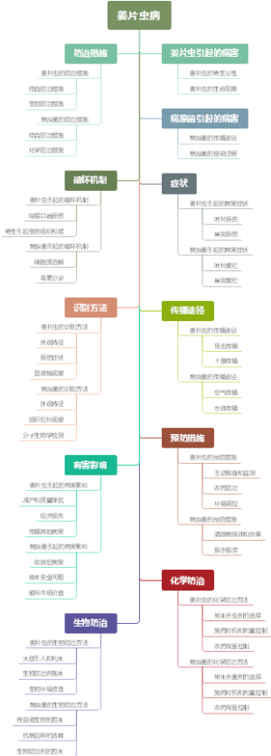 姜片虫病
