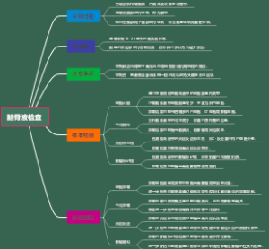 脑脊液检查