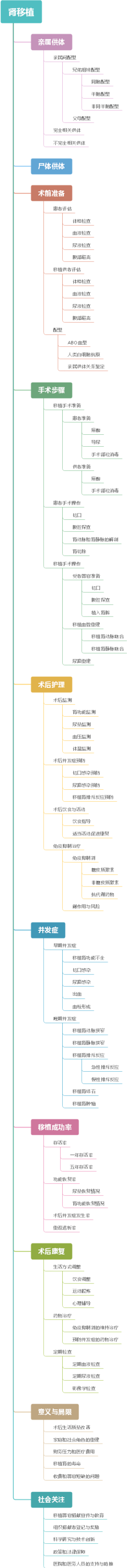 肾移植