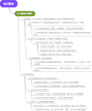 自行辩护