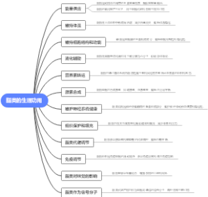 脂类的生理功用