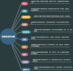 非霍奇金淋巴瘤