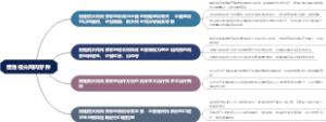 集合淋巴滤泡