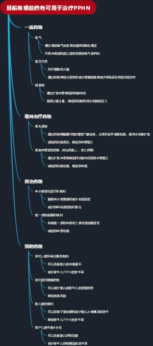 目前有哪些药物可用于治疗PPHN